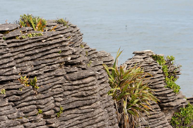 2007 03 22 Punakaiki 028_DXO.jpg